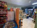 Дүкендер мен бутиктер · 100 м², бағасы: 500 000 ₸ в Шымкенте, Енбекшинский р-н — фото 6