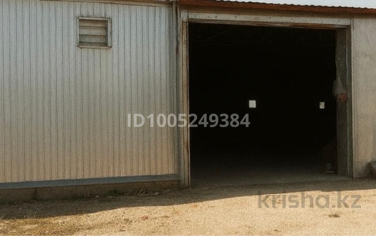 Участок · 6 га, Кордай за 370 млн 〒 — фото 8