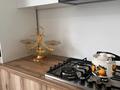 Отдельный дом · 4 комнаты · 160 м² · 8 сот., Береке за 40 млн ₸ в Кумтогане (Мирном) — фото 17
