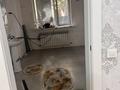 Отдельный дом · 4 комнаты · 160 м² · 8 сот., Береке за 40 млн ₸ в Кумтогане (Мирном) — фото 3