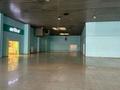 Еркін, ойын-сауық, студиялар · 1300 м², бағасы: 7.8 млн ₸ в Алматы, Жетысуский р-н — фото 3