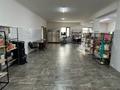 Свободное назначение · 250 м² за 100 млн ₸ в Каскелене — фото 5