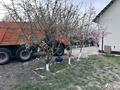 Отдельный дом · 5 комнат · 150 м² · 8 сот., Богенбай батыр 3 за 63 млн ₸ в Туздыбастау (Калинино) — фото 31