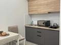 1-комнатная квартира · 45 м² · 8 этаж, Тоқпанов 22 за 16 000 ₸ в Астане, Алматы р-н — фото 8
