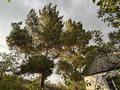 Саяжай · 2 бөлме · 45 м² · 12 жүзд., Мелиоратор 89 — Самсоновки, бағасы: 2.6 млн ₸ в Усть-Каменогорске, Ульбинский