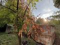 Саяжай · 2 бөлме · 45 м² · 12 жүзд., Мелиоратор 89 — Самсоновки, бағасы: 2.6 млн ₸ в Усть-Каменогорске, Ульбинский — фото 12