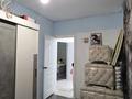 Отдельный дом · 4 комнаты · 160 м² · 10 сот., Акжелкен 8 за 20 млн ₸ в Усть-Каменогорске, Ново-Явленка — фото 21