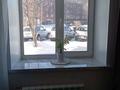 2-комнатная квартира · 45 м² · 1/5 этаж, Гагарина 9 за 15 млн ₸ в Шемонаихе — фото 6