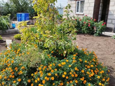 Дача · 2 комнаты · 26 м² · 6 сот., мкр Фёдоровка — Наука за 5.5 млн 〒 в Караганде, Казыбек би р-н