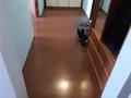 1-комнатная квартира · 42 м² · 4/10 этаж, мкр Новый Город, Ермекова — Березка, УГД Казыбек би, с/м "Аян" за 16 млн ₸ в Караганде, Казыбек би р-н