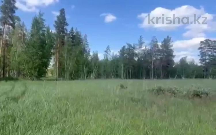 Жер телімі · 5 сотық, Алтынсаринскии район 3, бағасы: 7.9 млн ₸ в Алтынсарино (Костанайский район) — фото 2