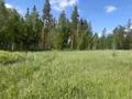 Жер телімі · 5 сотық, Алтынсаринскии район 3, бағасы: 7.9 млн ₸ в Алтынсарино (Костанайский район) — фото 6
