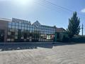 Общепит · 1000 м² за 140 млн ₸ в Шиели