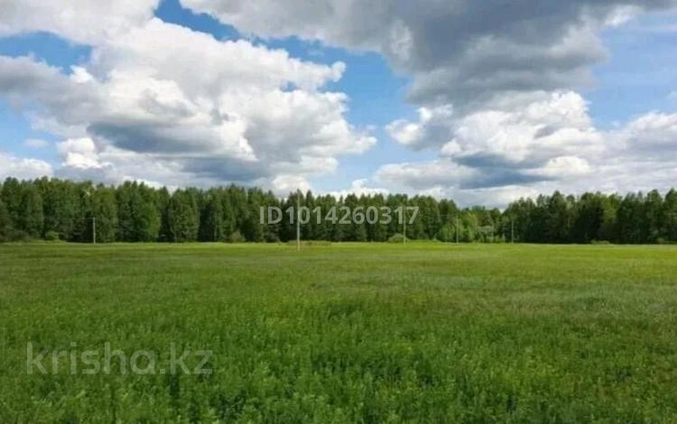 Участок · 36 соток, Петропавловск за 6 млн ₸ — фото 2