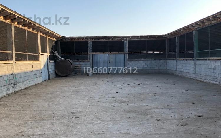 Сельское хозяйство • 1500 м² за 200 млн 〒 в Талдыкоргане — фото 2