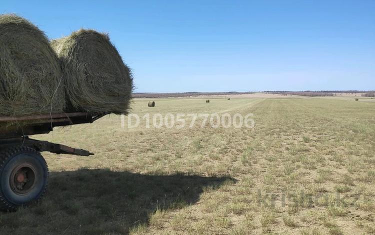 Жер телімі · 700 га, Қараой, бағасы: 20 млн ₸ в Караой — фото 2