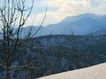 Жер телімі · 8 сотық, Көк-Лай-Сай, бағасы: 7 млн ₸ в Кок-лай-сае — фото 12