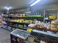Продуктовый магазин · 80 м², бағасы: 10 млн ₸ в Алматы, Алатауский р-н — фото 11
