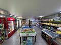 Продуктовый магазин · 80 м², бағасы: 10 млн ₸ в Алматы, Алатауский р-н — фото 12