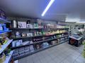 Продуктовый магазин · 80 м², бағасы: 10 млн ₸ в Алматы, Алатауский р-н — фото 16