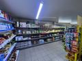 Продуктовый магазин · 80 м², бағасы: 10 млн ₸ в Алматы, Алатауский р-н — фото 5