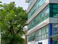 Еркін, кеңселер, білім орталықтары · 370 м², бағасы: 385 млн ₸ в Алматы, Медеуский р-н — фото 2