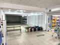 Дүкендер мен бутиктер · 100 м², бағасы: 400 000 ₸ в Павлодаре — фото 12