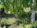 Участок · 10 соток, ПК железобетонщик — Золотой фазан за 1.7 млн ₸ в Костанае — фото 6