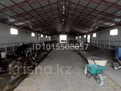 Отдельный дом · 4 комнаты · 130 м² · 400 сот., Урочище за 70 млн ₸ в 