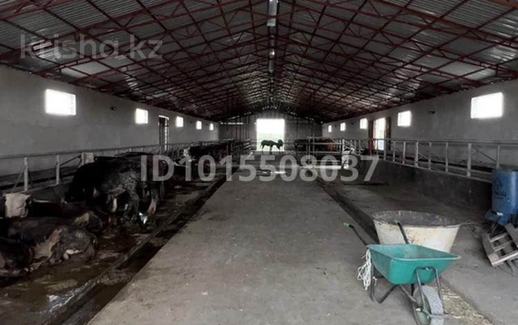 Отдельный дом · 4 комнаты · 130 м² · 400 сот., Урочище за 70 млн ₸ в  — фото 2