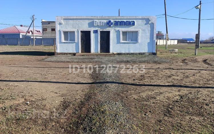 Ауыл шаруашылығы, медорталықтар мен дәріханалар · 100 м², бағасы: 9 млн 〒 в  — фото 2