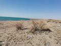 Участок · 50 соток, Балхаш за 48 млн ₸ — фото 4