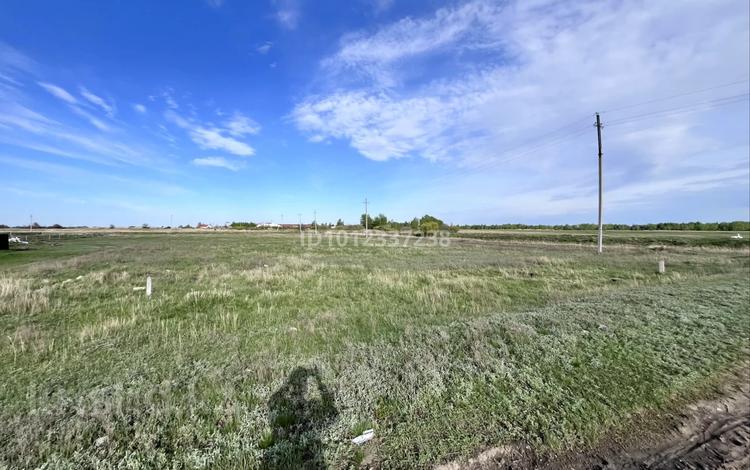 Участок · 10 соток, Щербаково за ~ 4.5 млн ₸ в Костанайской обл. — фото 2
