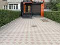 Действующий салон красоты · 56.8 м², бағасы: 30 млн ₸ в Усть-Каменогорске — фото 16