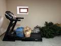 Отдельный дом · 4 комнаты · 140 м² · 8 сот., мкр Калкаман-2 за 160 млн ₸ в Алматы, Наурызбайский р-н — фото 18