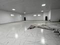 Свободное назначение, общепит · 300 м² за 800 000 ₸ в Таразе — фото 13