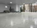 Свободное назначение, общепит · 300 м² за 800 000 ₸ в Таразе — фото 14