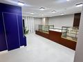 Свободное назначение · 74 м² за 56 млн ₸ в Астане, Сарыарка р-н — фото 13