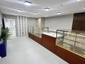Свободное назначение · 74 м² за 56 млн ₸ в Астане, Сарыарка р-н — фото 2