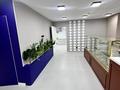 Свободное назначение · 74 м² за 56 млн ₸ в Астане, Сарыарка р-н — фото 4
