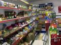 Продуктовый магазин · 46.7 м² за 23 млн ₸ в Атырау, пгт Балыкши — фото 10