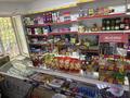 Продуктовый магазин · 46.7 м² за 23 млн ₸ в Атырау, пгт Балыкши — фото 11