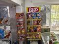 Продуктовый магазин · 46.7 м² за 23 млн ₸ в Атырау, пгт Балыкши — фото 12