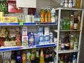 Продуктовый магазин · 46.7 м² за 23 млн ₸ в Атырау, пгт Балыкши — фото 3