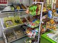 Продуктовый магазин · 46.7 м² за 23 млн ₸ в Атырау, пгт Балыкши — фото 4