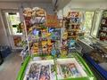 Продуктовый магазин · 46.7 м² за 23 млн ₸ в Атырау, пгт Балыкши — фото 6