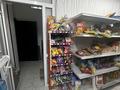 Магазины и бутики · 120 м² за 500 000 〒 в Астане — фото 6