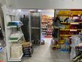 Жеке дүкен · 200 м², бағасы: 150 млн ₸ в Жезказгане — фото 16