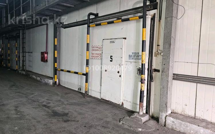 Склады · 160 м² за 560 000 ₸ в Алматы, Жетысуский р-н — фото 9