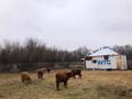 Крестянская хозяйства · 8000 м² за 50 млн ₸ в Жаркенте, Алтыуй